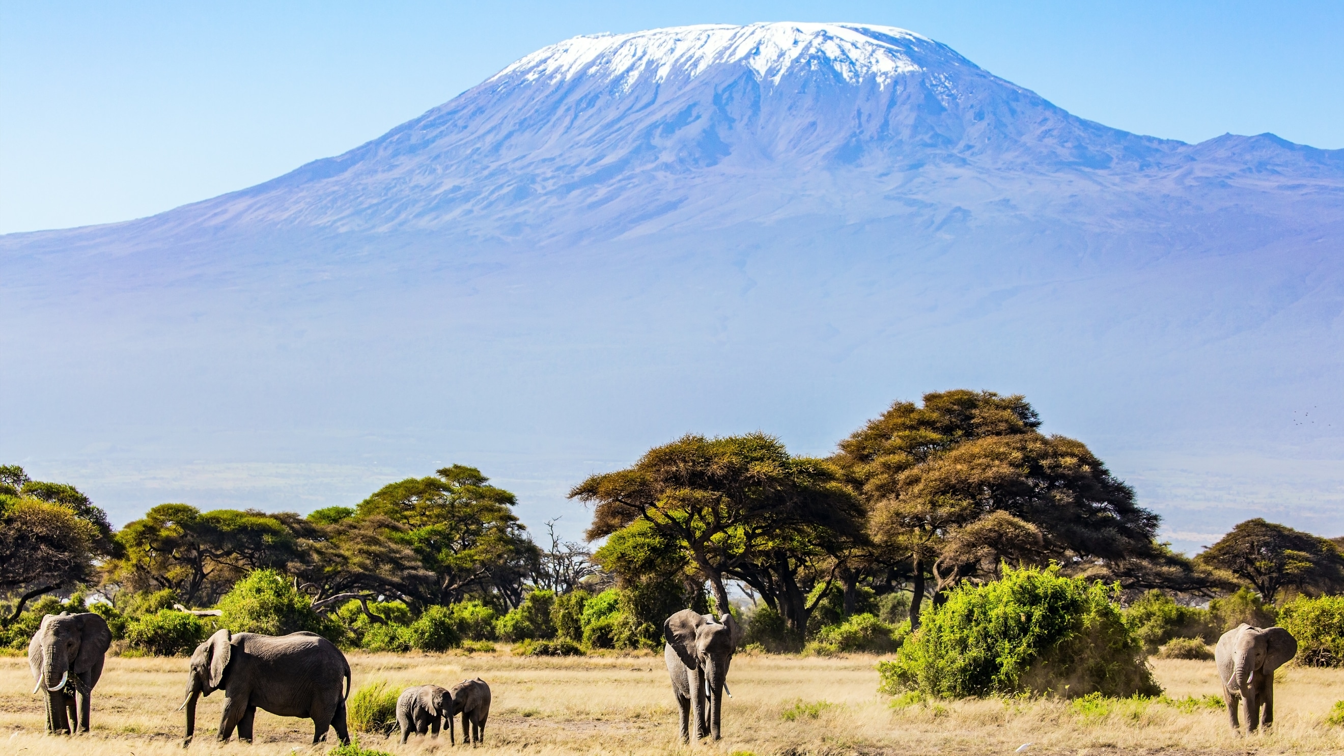 Mount Kilimanjaro